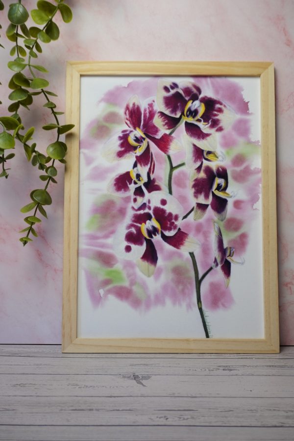 Affiche - Orchidées roses
