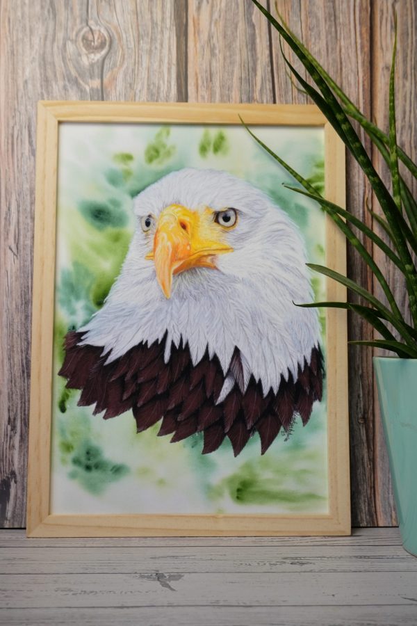 Affiche - Pygargue à tête blanche